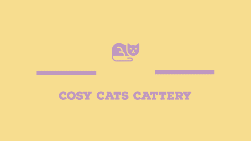 Cattery in Wakefield, Cat Hotel Cosy Cats Boarding Kennels
